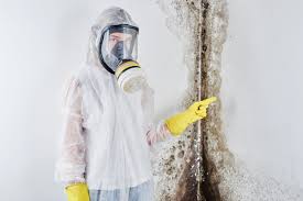 Best Commercial Mold Inspection  in Berry Hill, TN